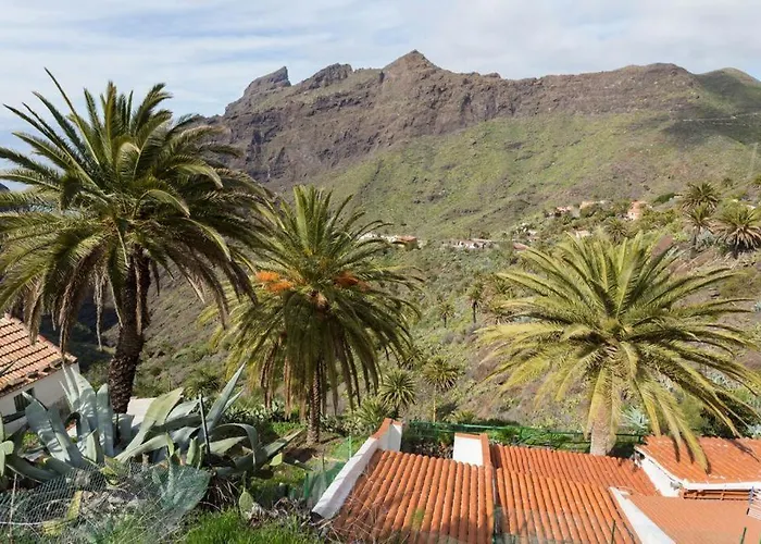 Traditional Canary In Prázdninový dům