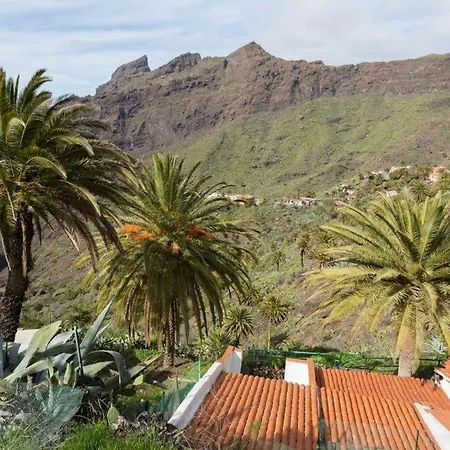 Traditional Canary In Tatil Evi