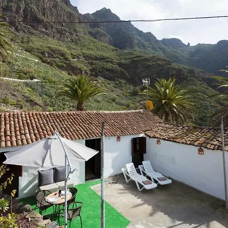 Traditional Canary In *