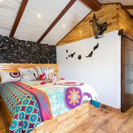 Tatil Evi Traditional Canary In