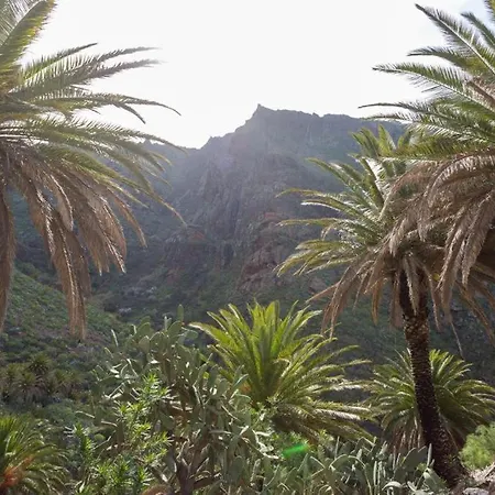 Tatil Evi Traditional Canary In *