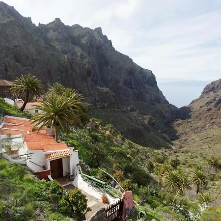 Traditional Canary In Casa de Férias