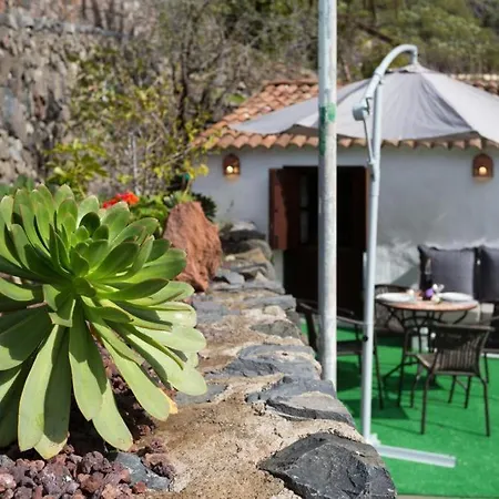 Traditional Canary In Tatil Evi *