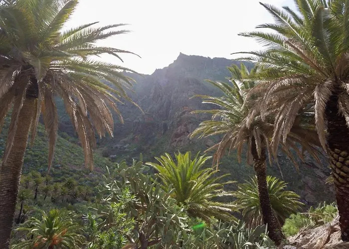 Vakantiehuis Traditional Canary In *