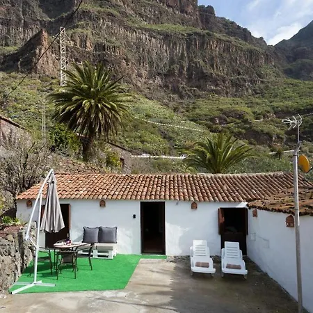 Traditional Canary In Masca