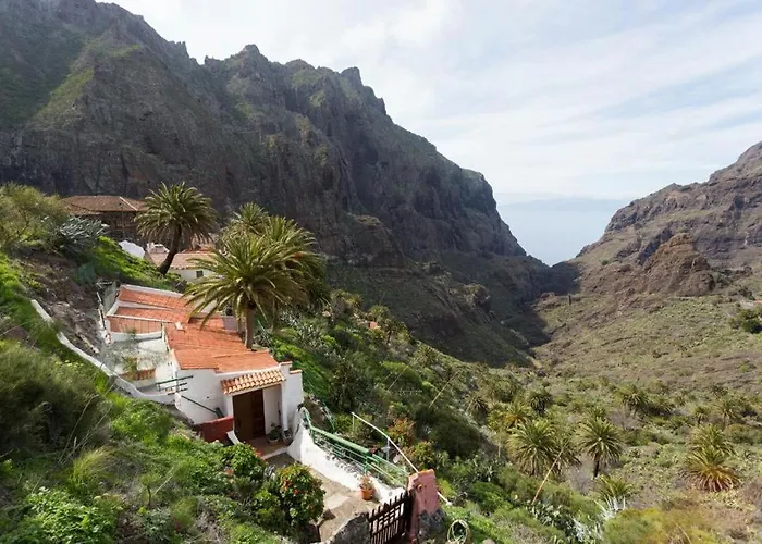 Traditional Canary In Hébergement de vacances